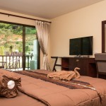 Luxry Room
