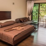 Luxry Room